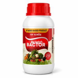 Azotobacter
